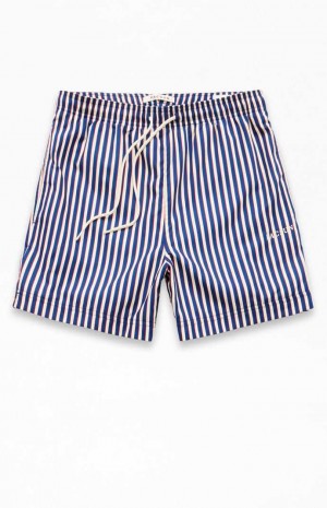 BLUE PacSun Stripe 4.5" Swim Trunks | FGEKVMR-47