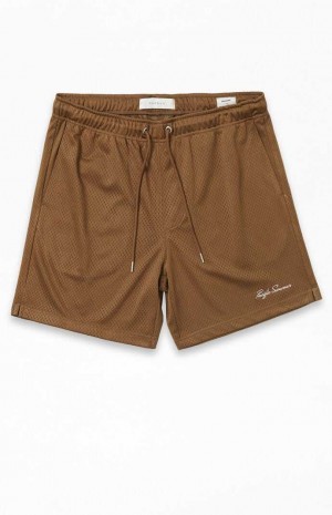 BROWN PacSun Brown Mesh Basketball Shorts | AJFQIRE-65