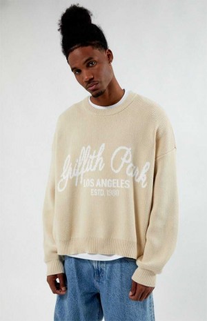 BROWN PacSun Griffith Park Sweater | BOANIWZ-76