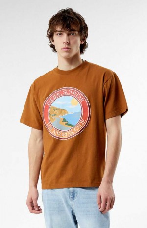 BROWN PacSun Pacific Sunwear Coastal T-Shirt | ZKBXDFA-59