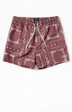 BROWN PacSun Recycled Bandana Block 4.5" Swim Trunks | TDMQHZI-81