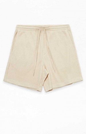 CREAM PacSun Cream Waffle Knit Volley Shorts | XKWSQOB-16