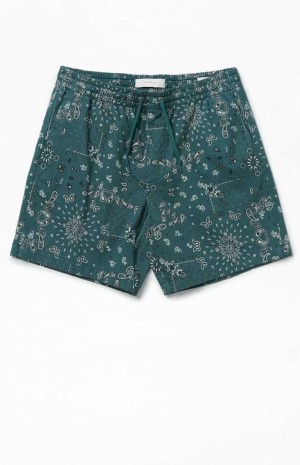 GREEN PacSun Green Reed Printed Twill Volley Shorts | PGUBLCI-94