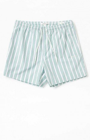 GREEN PacSun Stripe 4.5" Swim Trunks | PZCWLOT-28