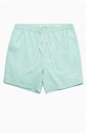 MINT PacSun Mint Nylon Collegiate 6.5" Swim Trunks | XZFSOCB-12