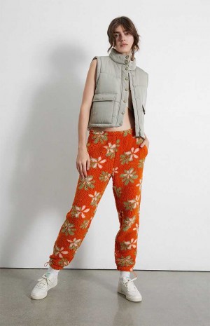 ORANGE PacSun Groovy Floral Sherpa Sweatpants | FPTGZKV-45