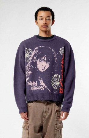 PLUM PacSun Faded Memories Cropped Sweater | LDVKFRQ-46