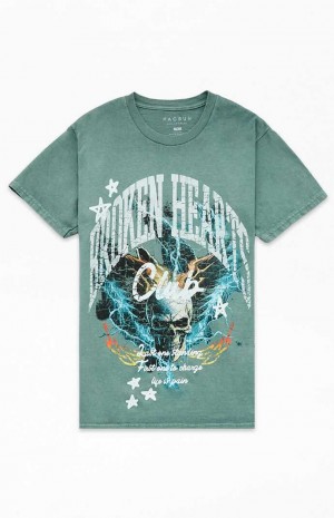 SAGE PacSun Stonks T-Shirt | AMUECPX-53