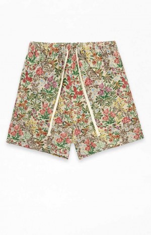 TAN PacSun Tan Floral Tapestry Shorts | ZQUTDMV-97