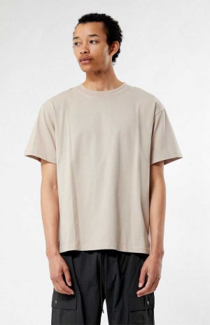 TAN PacSun Tan Premium T-Shirt | ULIAYOX-43