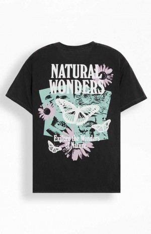 WASHED BLACK PacSun Natural Wonders T-Shirt | BOGSHEV-01