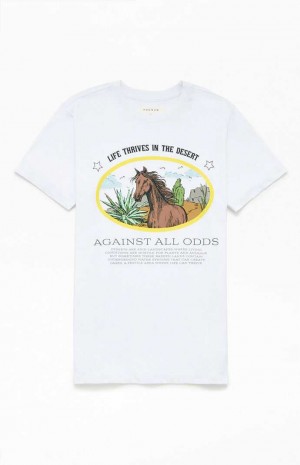 WHITE PacSun Against All Odds T-Shirt | AENTZGS-20