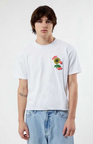 WHITE PacSun Express Ya Self Cropped T-Shirt | KCNOJHW-72