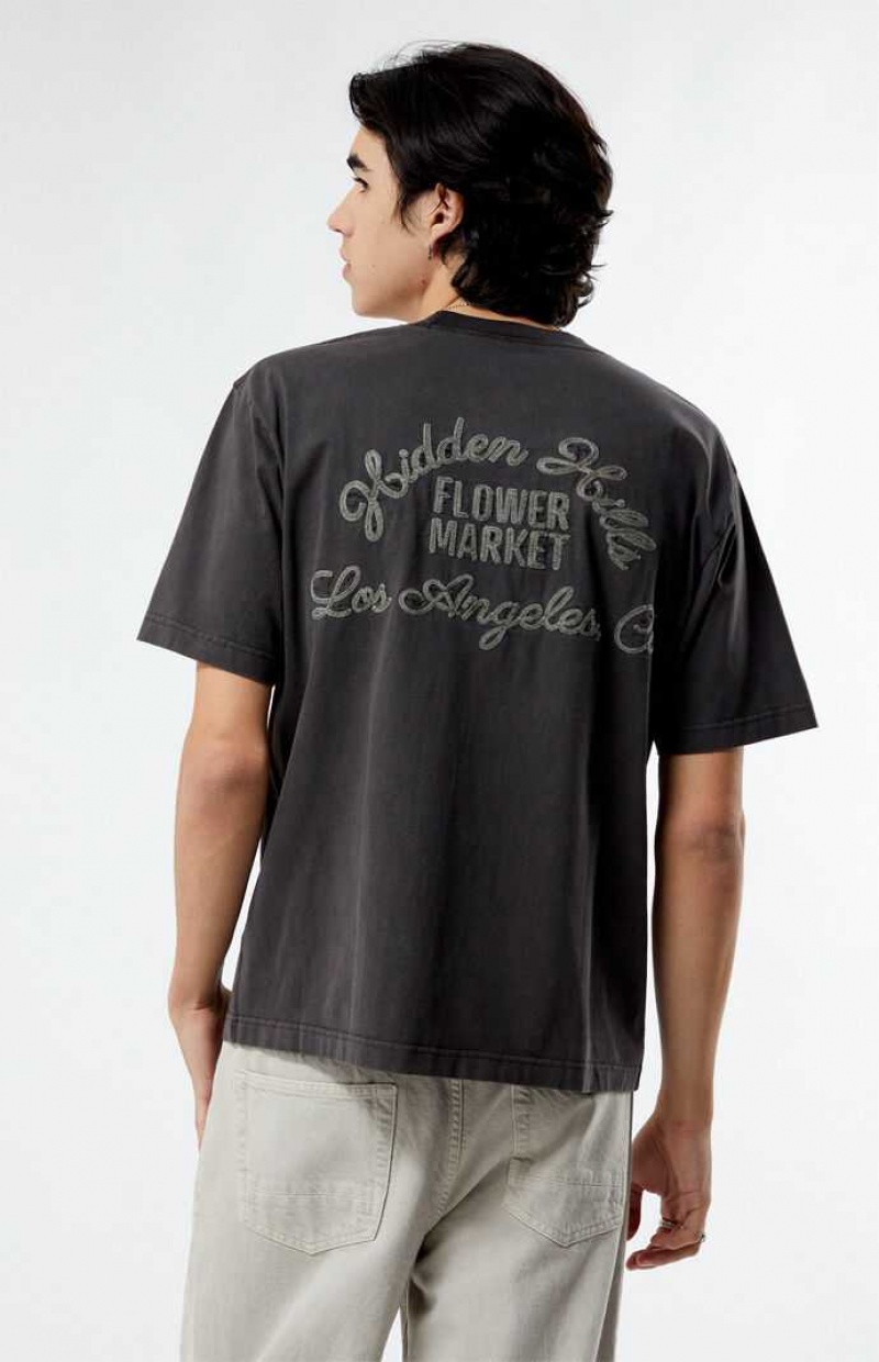 ASPHALT PacSun Hidden Hills Stitched T-Shirt | IAFBTOU-76