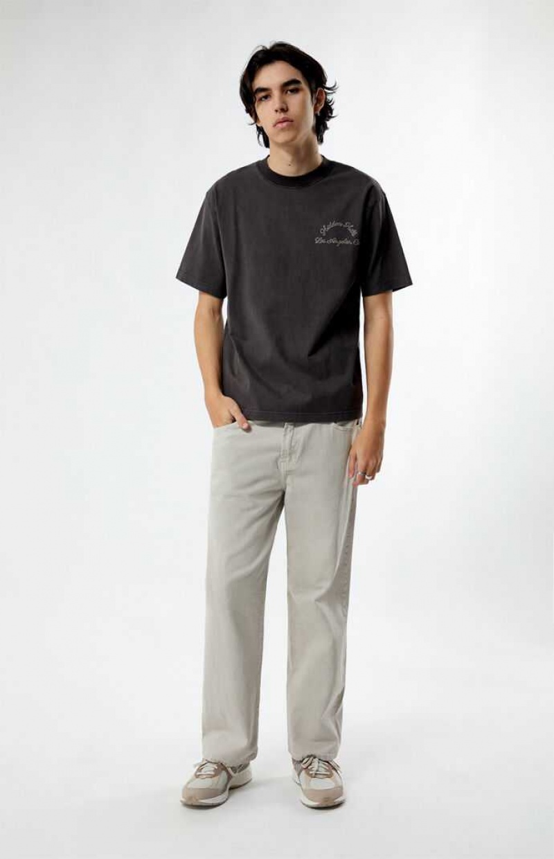 ASPHALT PacSun Hidden Hills Stitched T-Shirt | IAFBTOU-76