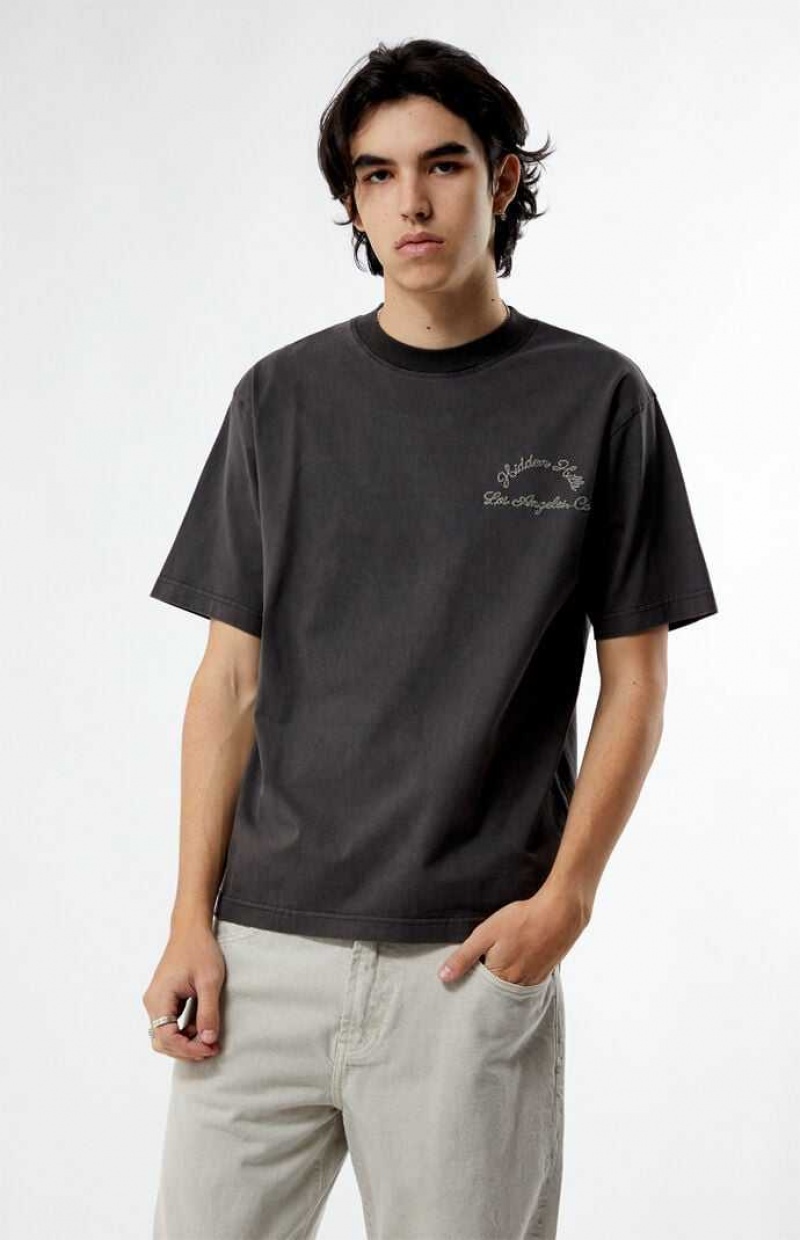 ASPHALT PacSun Hidden Hills Stitched T-Shirt | IAFBTOU-76