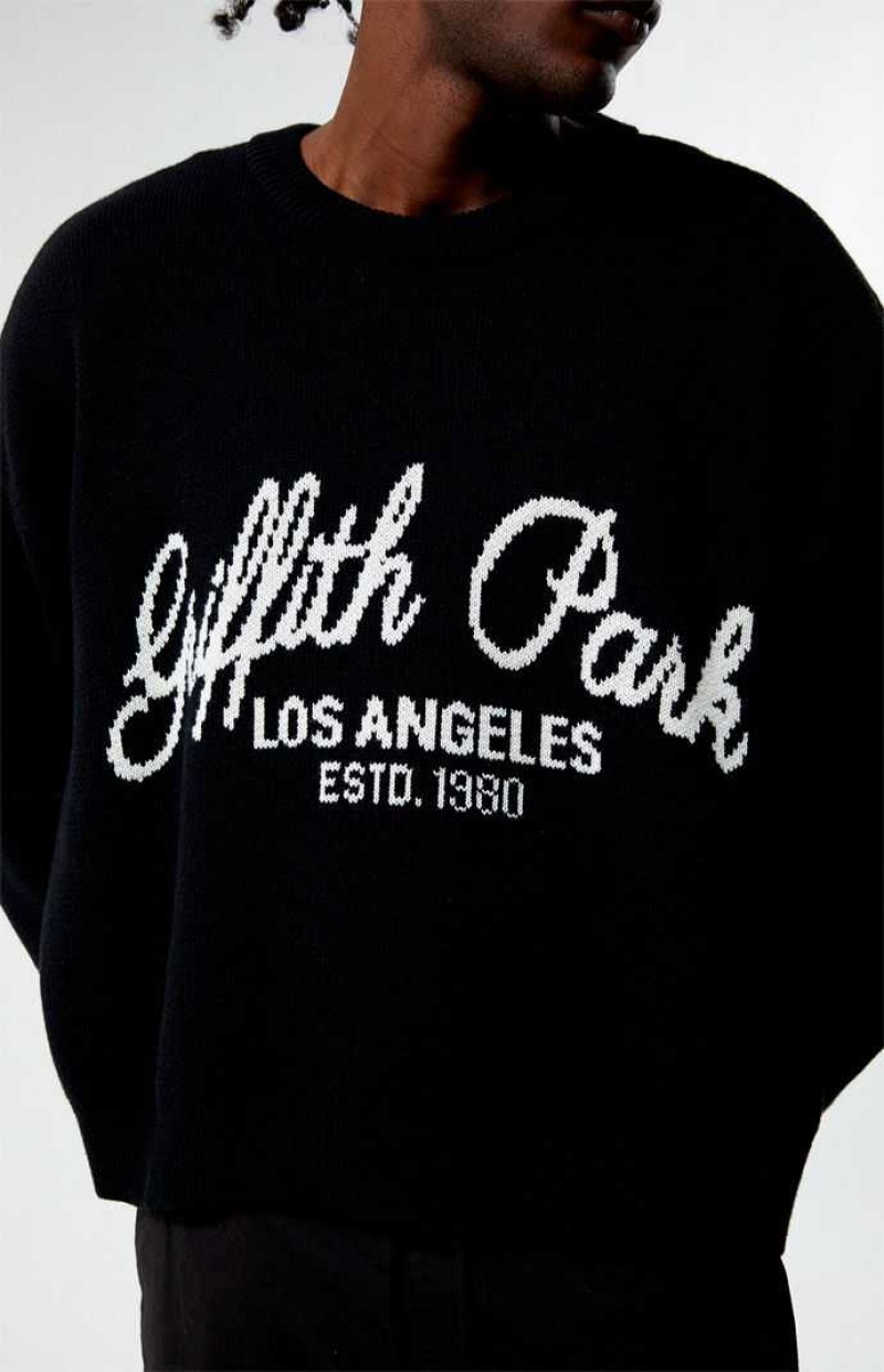 BLACK PacSun Griffith Park Sweater | ZRLTQUM-05