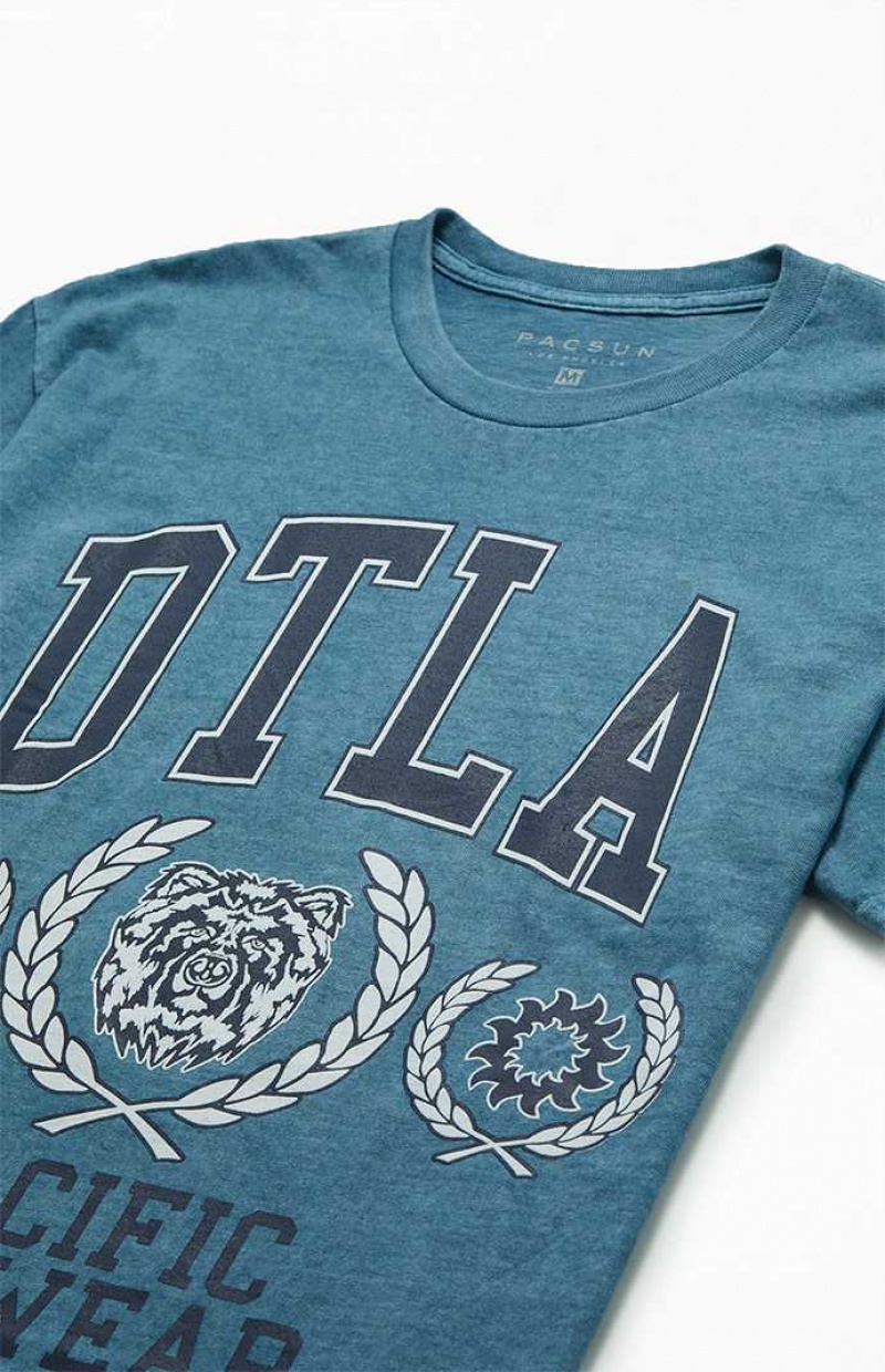 BLUE GREEN PacSun Pacific Sunwear DTLA T-Shirt | OTZCUPG-85