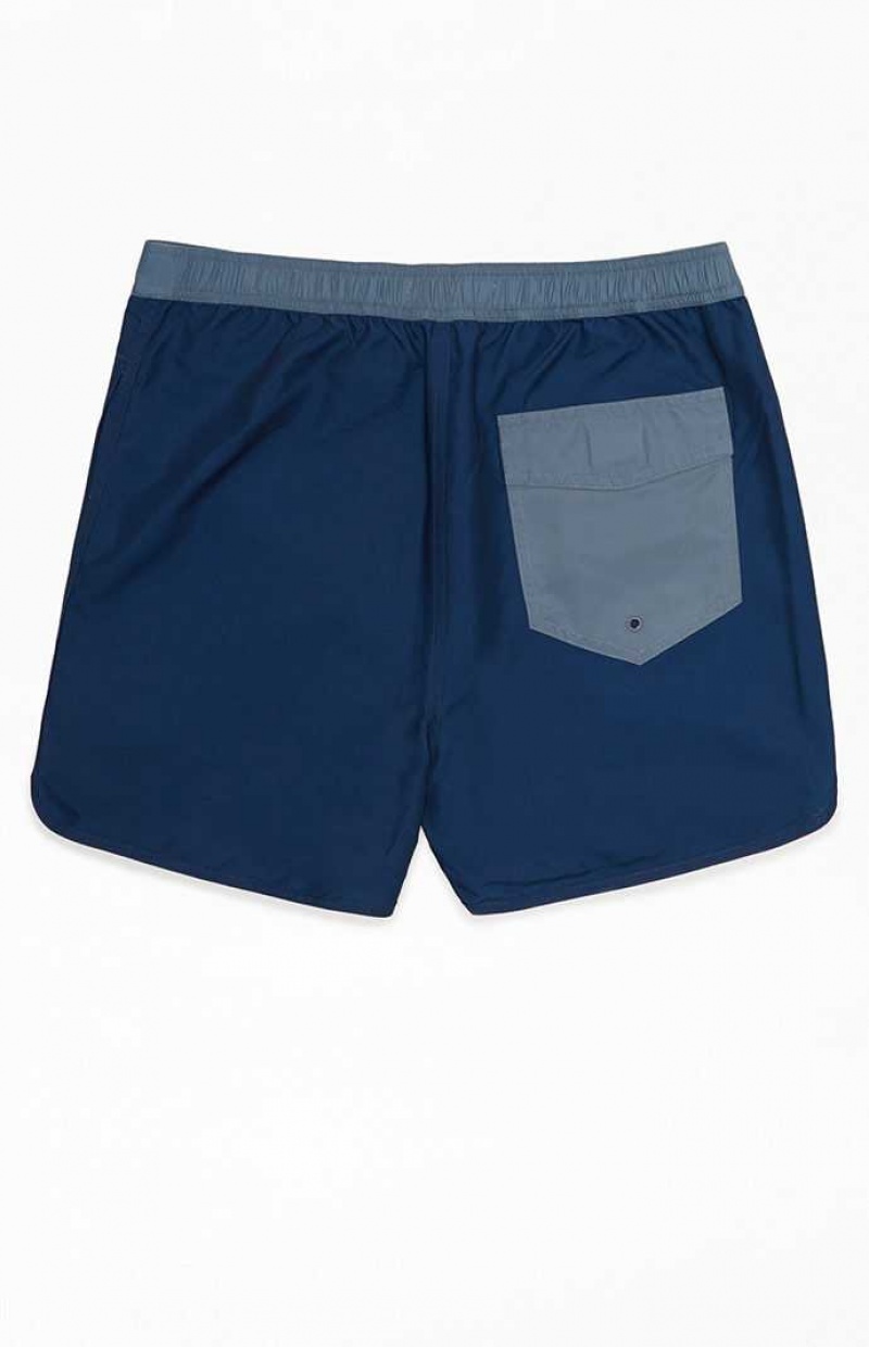 BLUE PacSun Dusty Blue 15" Boardshorts | EXWMIKR-56