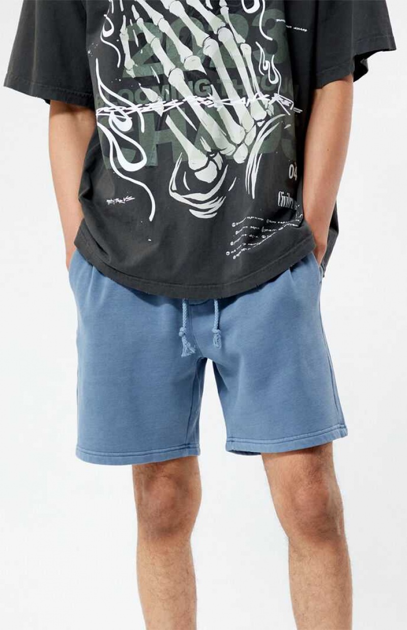 BLUE PacSun Fleece Volley Shorts | QVERKSO-23