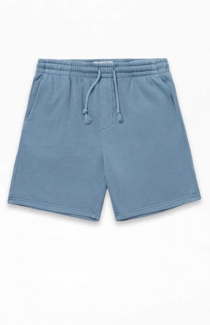 BLUE PacSun Fleece Volley Shorts | QVERKSO-23