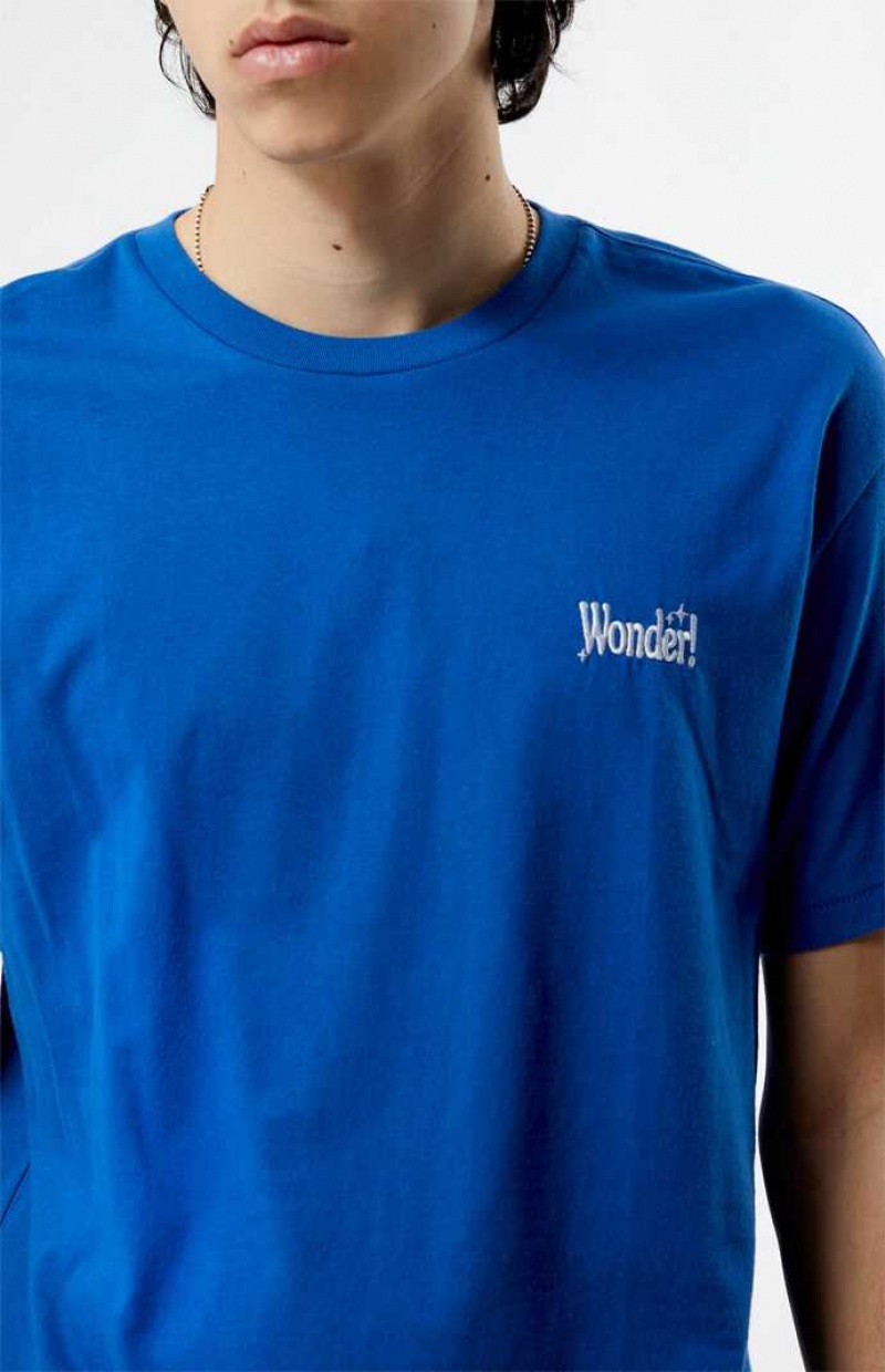 BLUE PacSun PS Basics Wonder T-Shirt | DNOYAIL-58