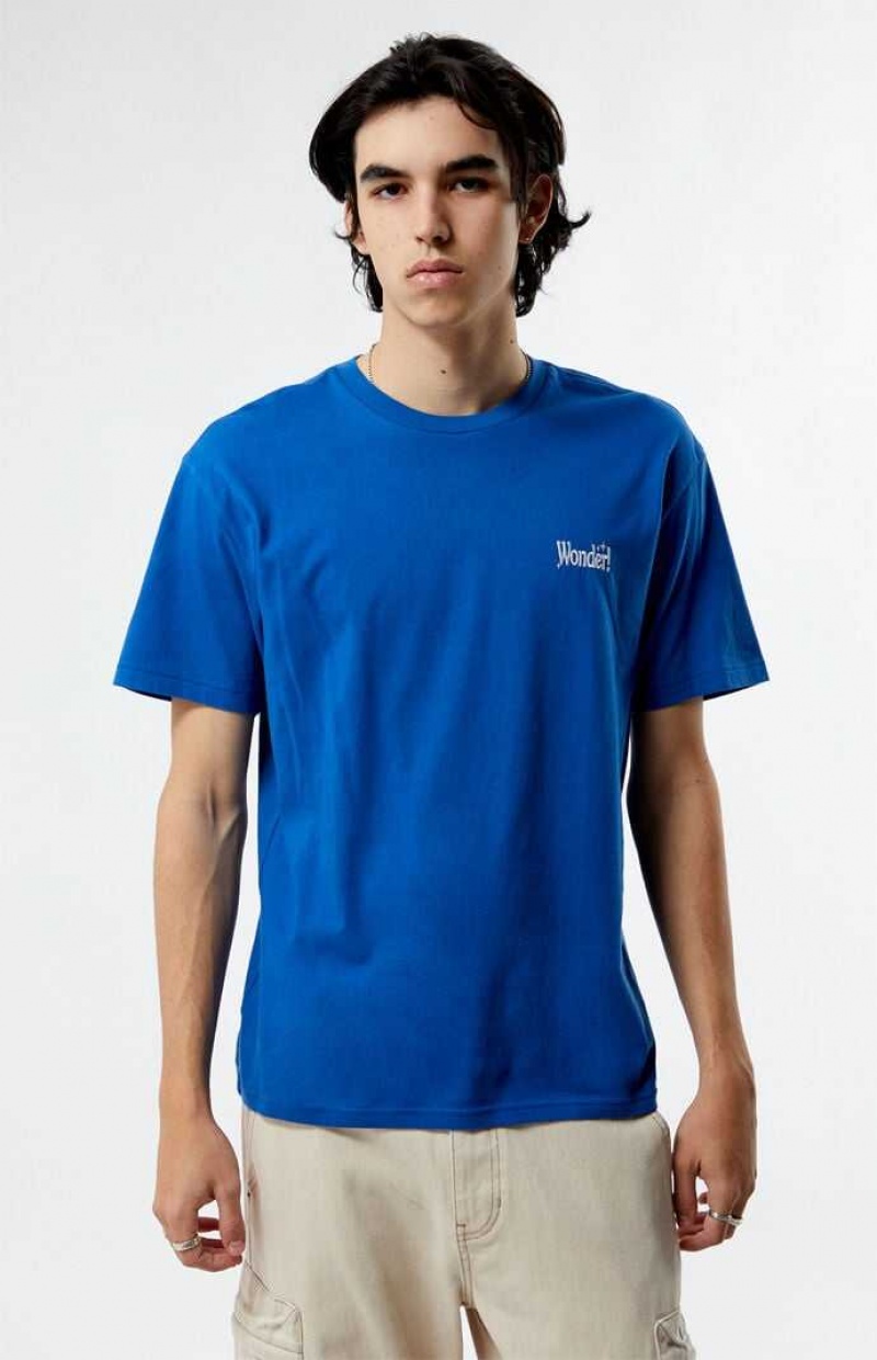 BLUE PacSun PS Basics Wonder T-Shirt | DNOYAIL-58