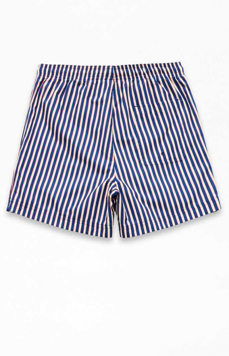 BLUE PacSun Stripe 4.5" Swim Trunks | FGEKVMR-47