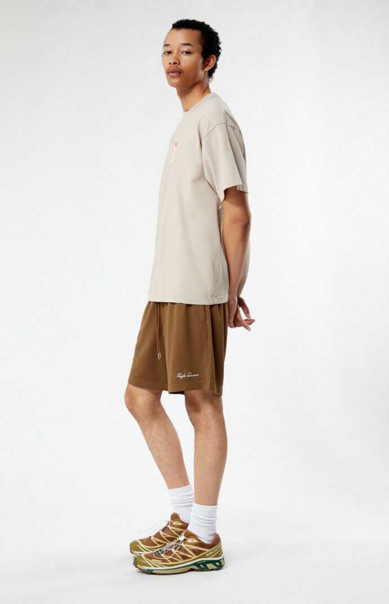 BROWN PacSun Brown Mesh Basketball Shorts | AJFQIRE-65