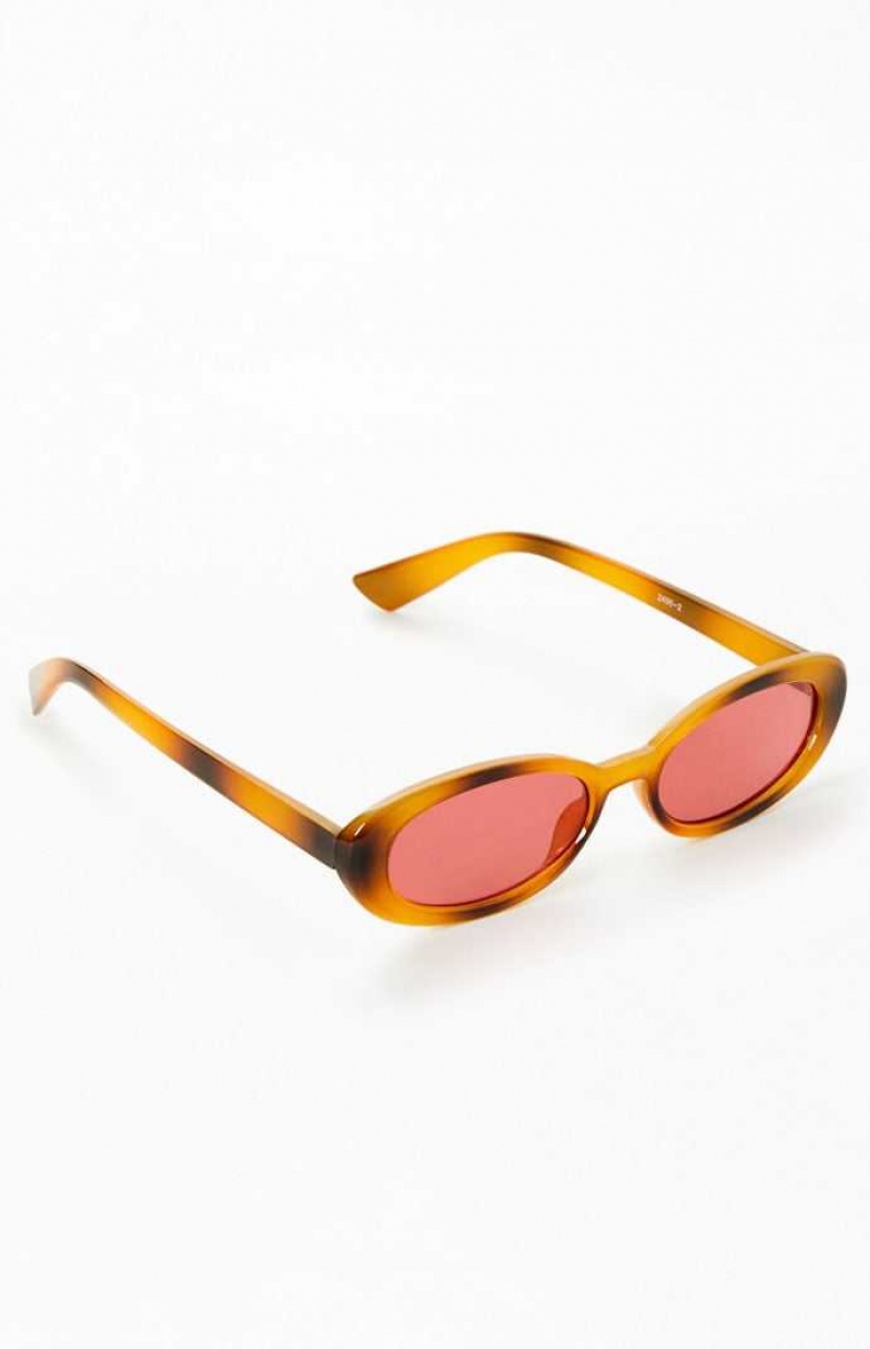 BROWN PacSun Brown Plastic Round Sunglasses | DKWSYCM-57