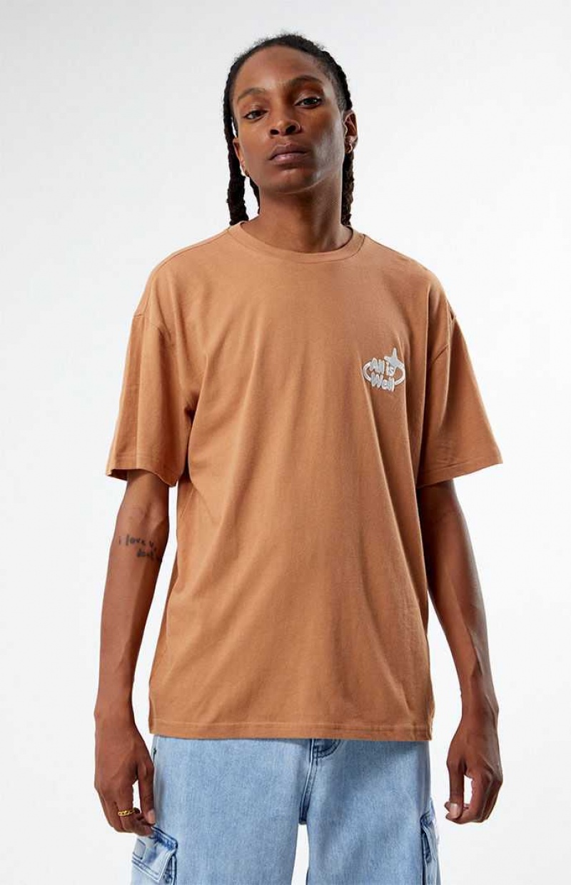 BROWN PacSun Eco All Is Well Embroidered T-Shirt | YODCURN-62