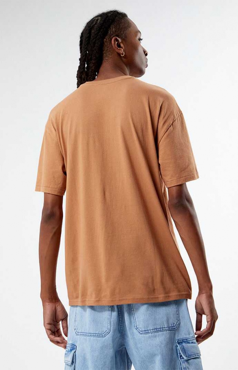 BROWN PacSun Eco All Is Well Embroidered T-Shirt | YODCURN-62