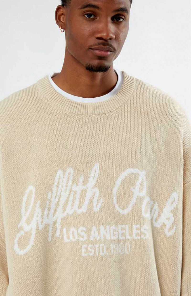 BROWN PacSun Griffith Park Sweater | BOANIWZ-76