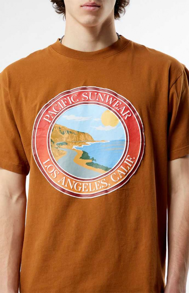 BROWN PacSun Pacific Sunwear Coastal T-Shirt | ZKBXDFA-59