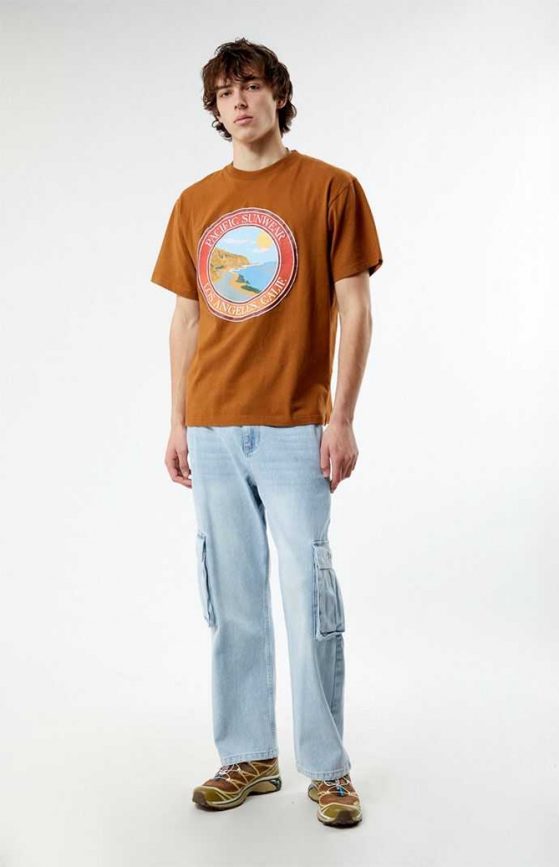 BROWN PacSun Pacific Sunwear Coastal T-Shirt | ZKBXDFA-59