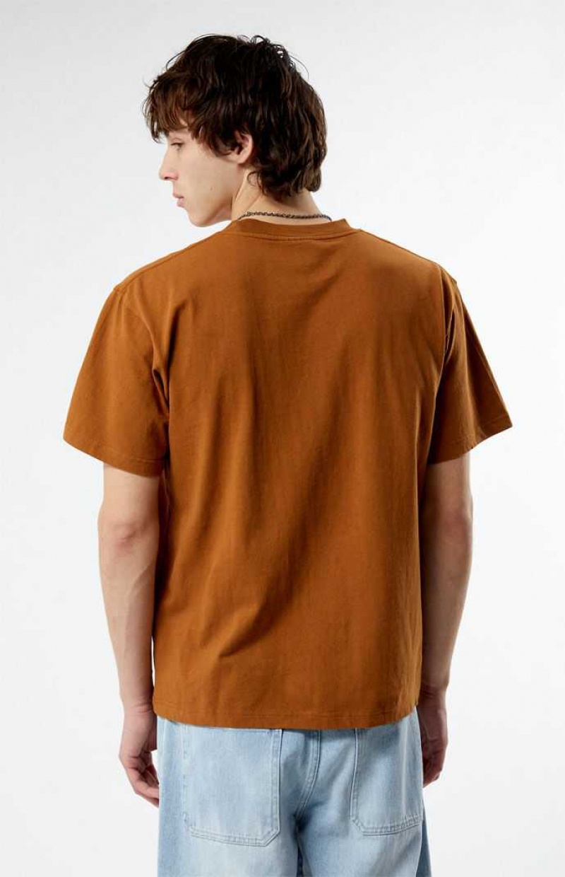 BROWN PacSun Pacific Sunwear Coastal T-Shirt | ZKBXDFA-59