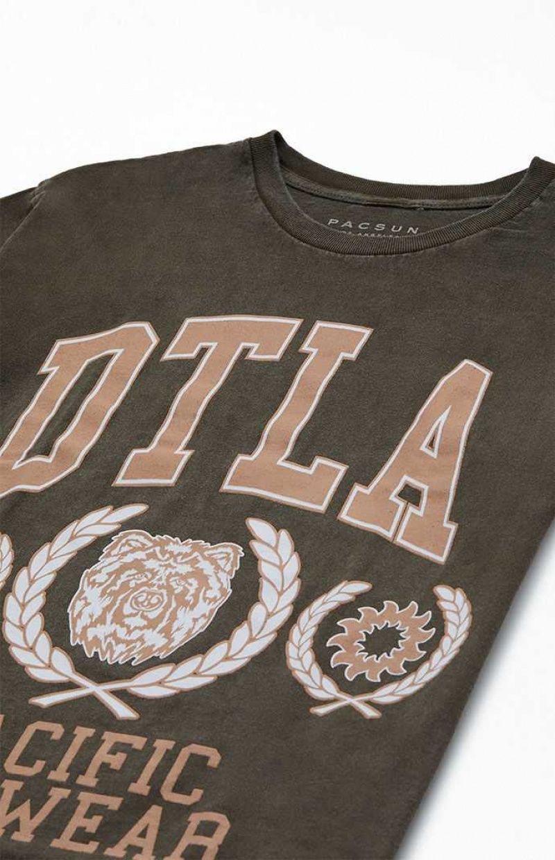 BROWN PacSun Pacific Sunwear DTLA T-Shirt | PSQGBNK-30