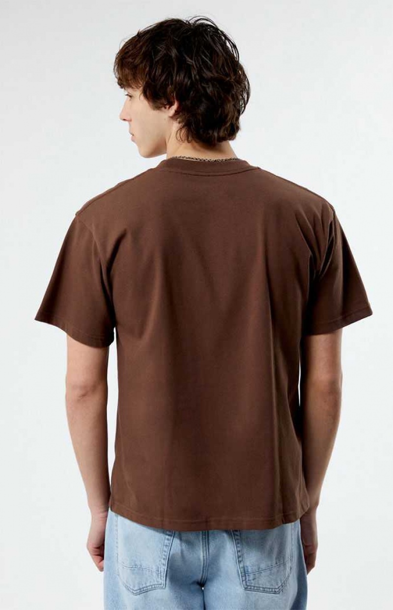 BROWN PacSun Premium T-Shirt | FSWTVIQ-85