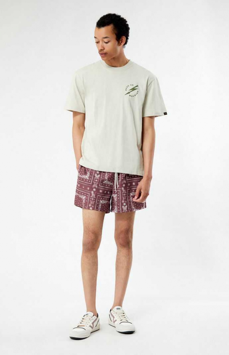 BROWN PacSun Recycled Bandana Block 4.5" Swim Trunks | TDMQHZI-81