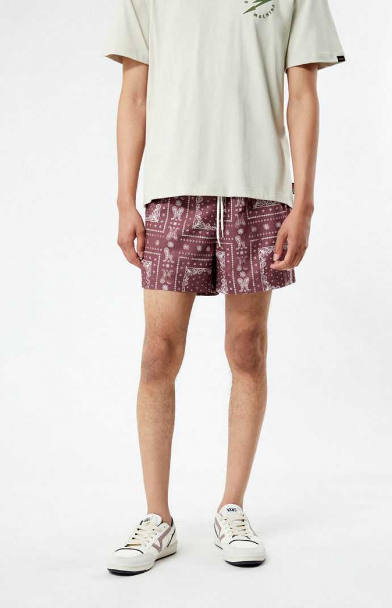 BROWN PacSun Recycled Bandana Block 4.5" Swim Trunks | TDMQHZI-81