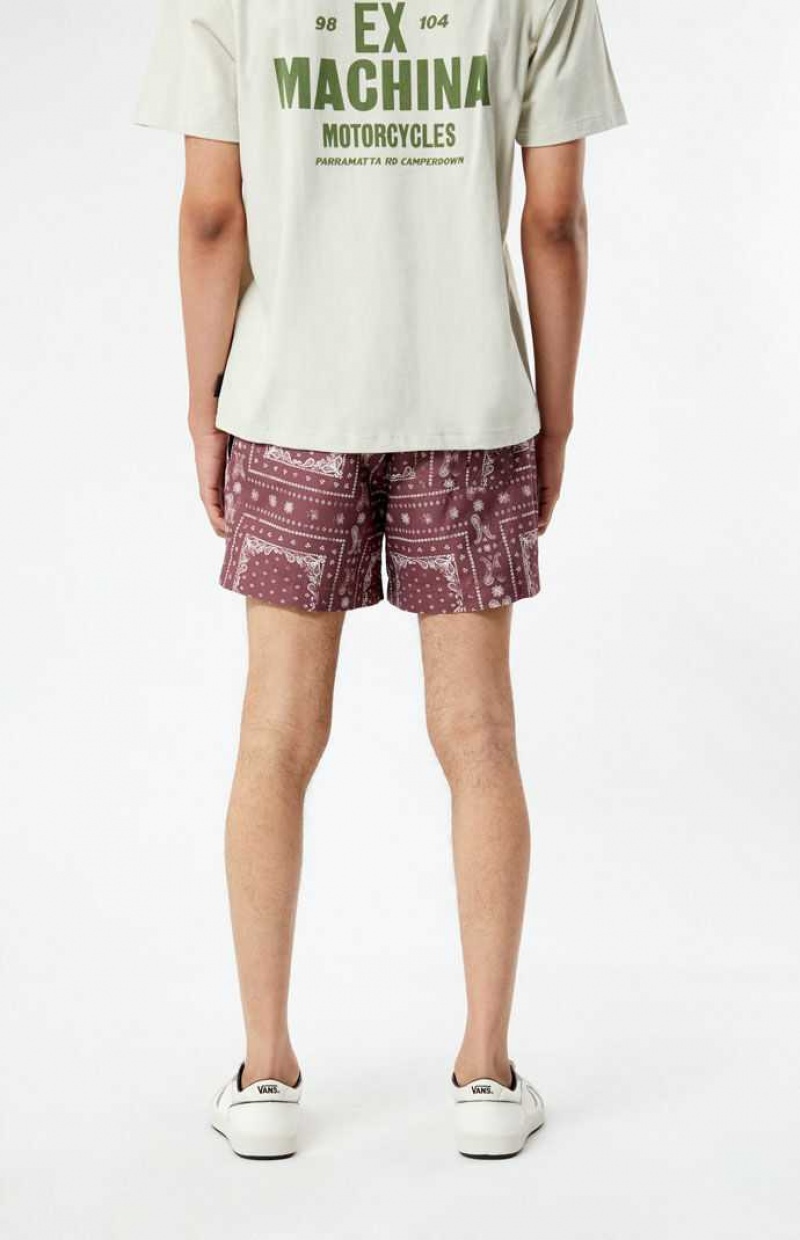 BROWN PacSun Recycled Bandana Block 4.5" Swim Trunks | TDMQHZI-81