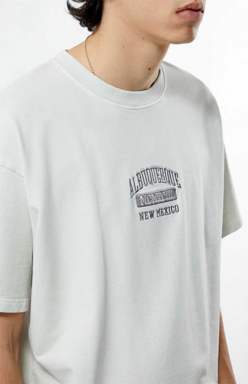 CREAM PacSun Albuquerque New Mexico Embroidered T-Shirt | WNXPGYT-46