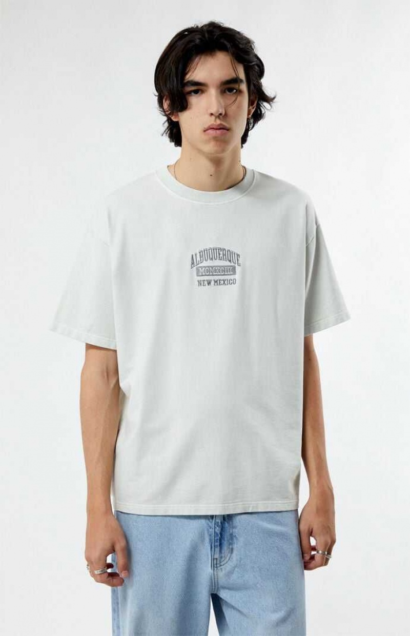 CREAM PacSun Albuquerque New Mexico Embroidered T-Shirt | WNXPGYT-46