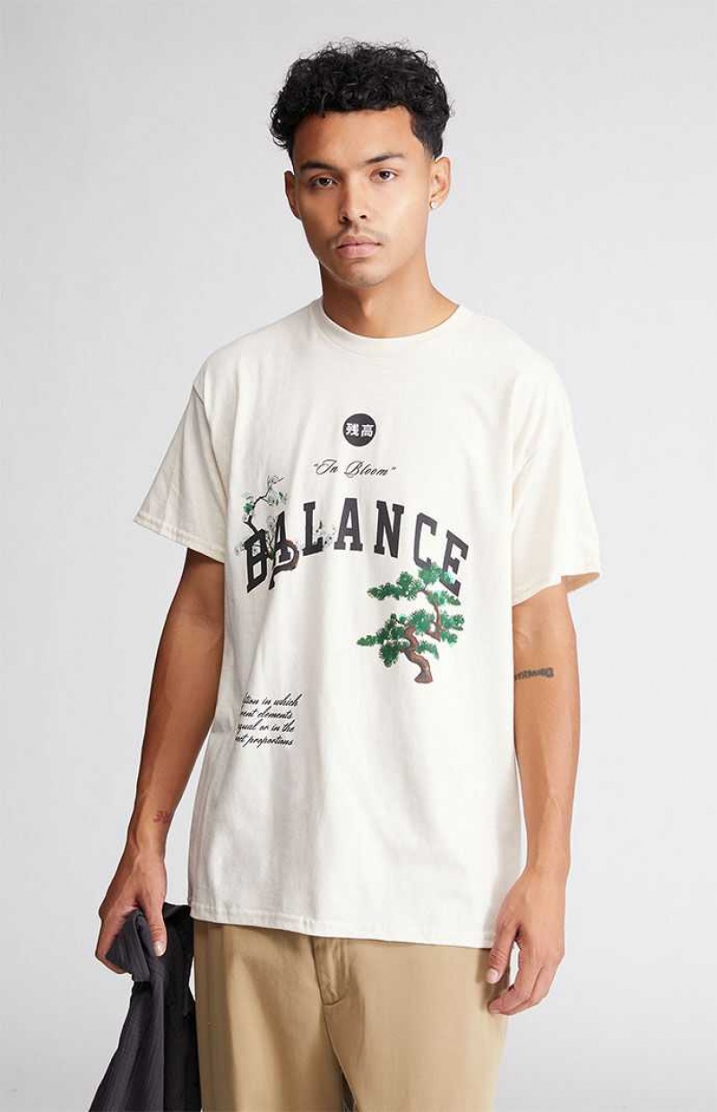 CREAM PacSun Balance T-Shirt | ITALDQH-59