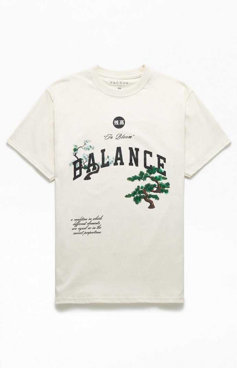 CREAM PacSun Balance T-Shirt | ITALDQH-59