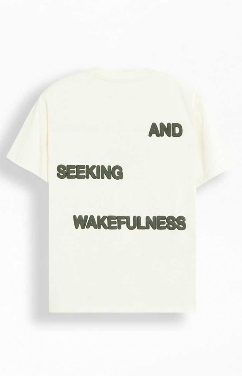 CREAM PacSun Lost In Dreams Puff T-Shirt | GTUXESK-35