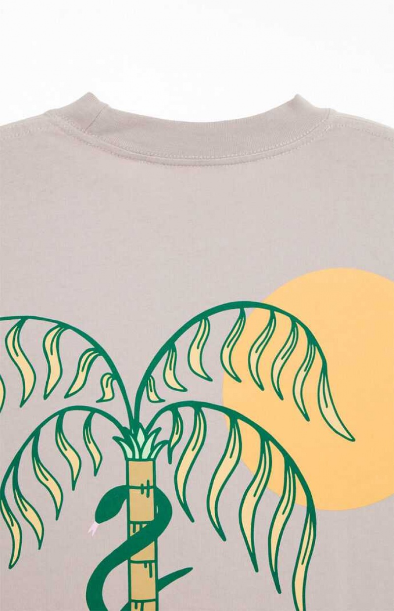 CREAM PacSun Pacific Sunwear Palms T-Shirt | EZPVWUB-62