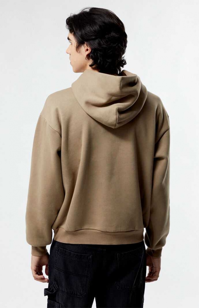 DESERT TAUPE PacSun Desert Taupe Solid Hoodie | OCXADQE-04