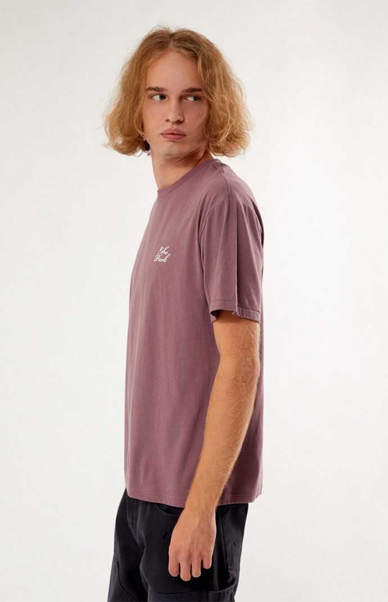 FLINT PacSun Echo Park Embroidered Regular Fit T-Shirt | DWJOCIN-09