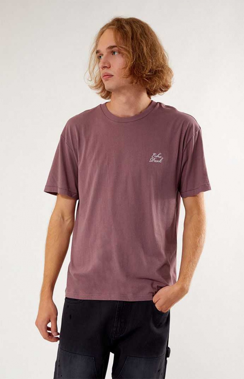 FLINT PacSun Echo Park Embroidered Regular Fit T-Shirt | DWJOCIN-09